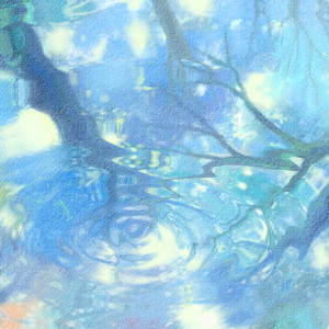 profile へのリンク